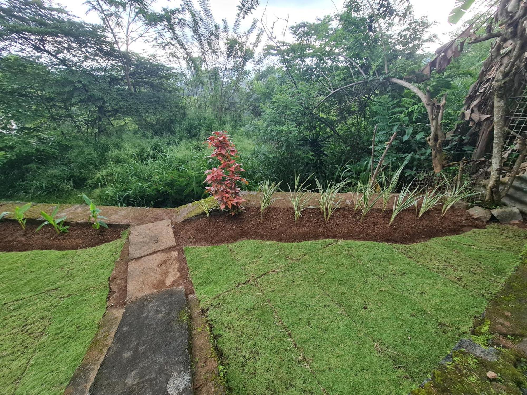 Hello Kandy Homestay מראה חיצוני תמונה