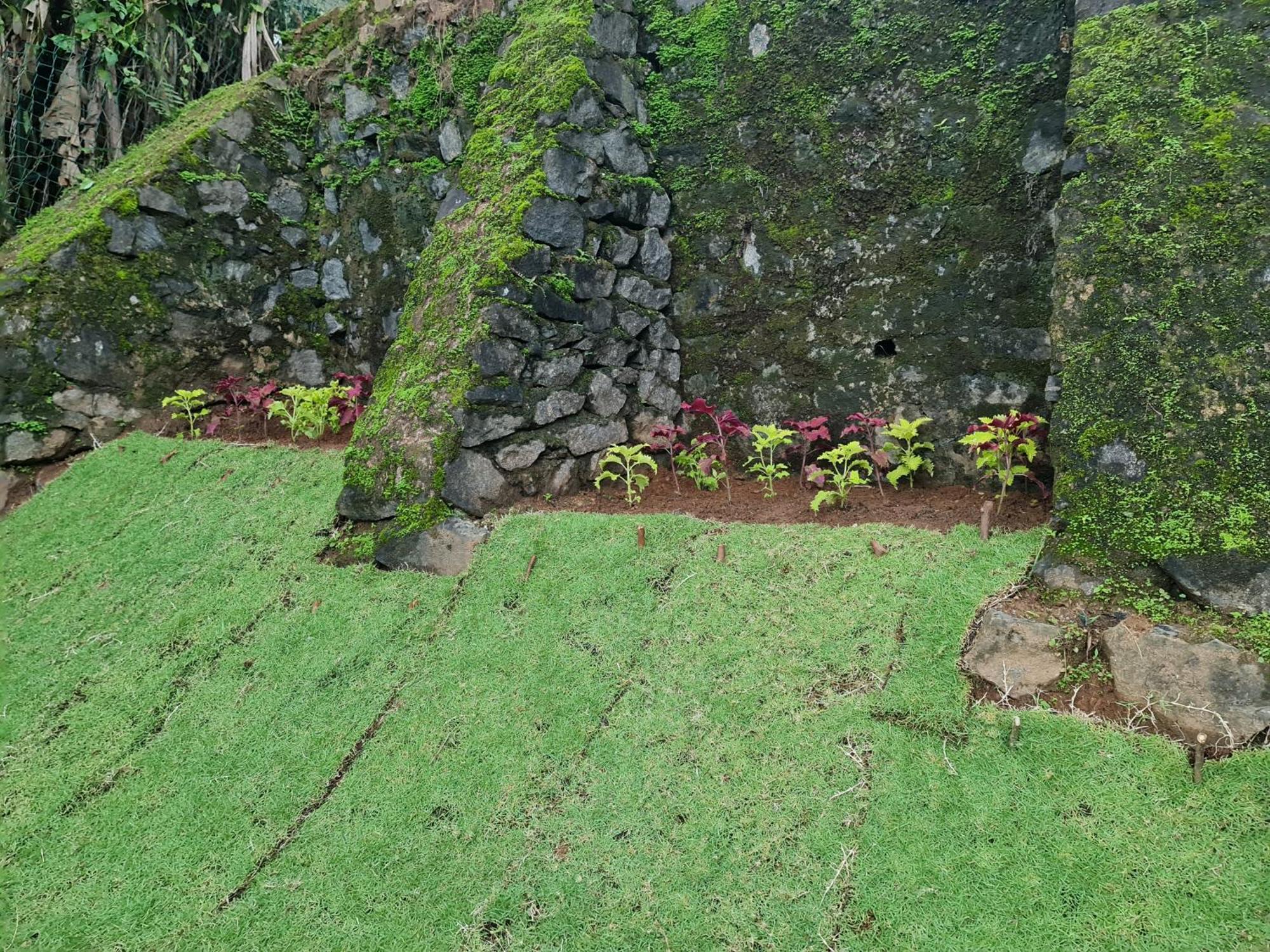 Hello Kandy Homestay מראה חיצוני תמונה